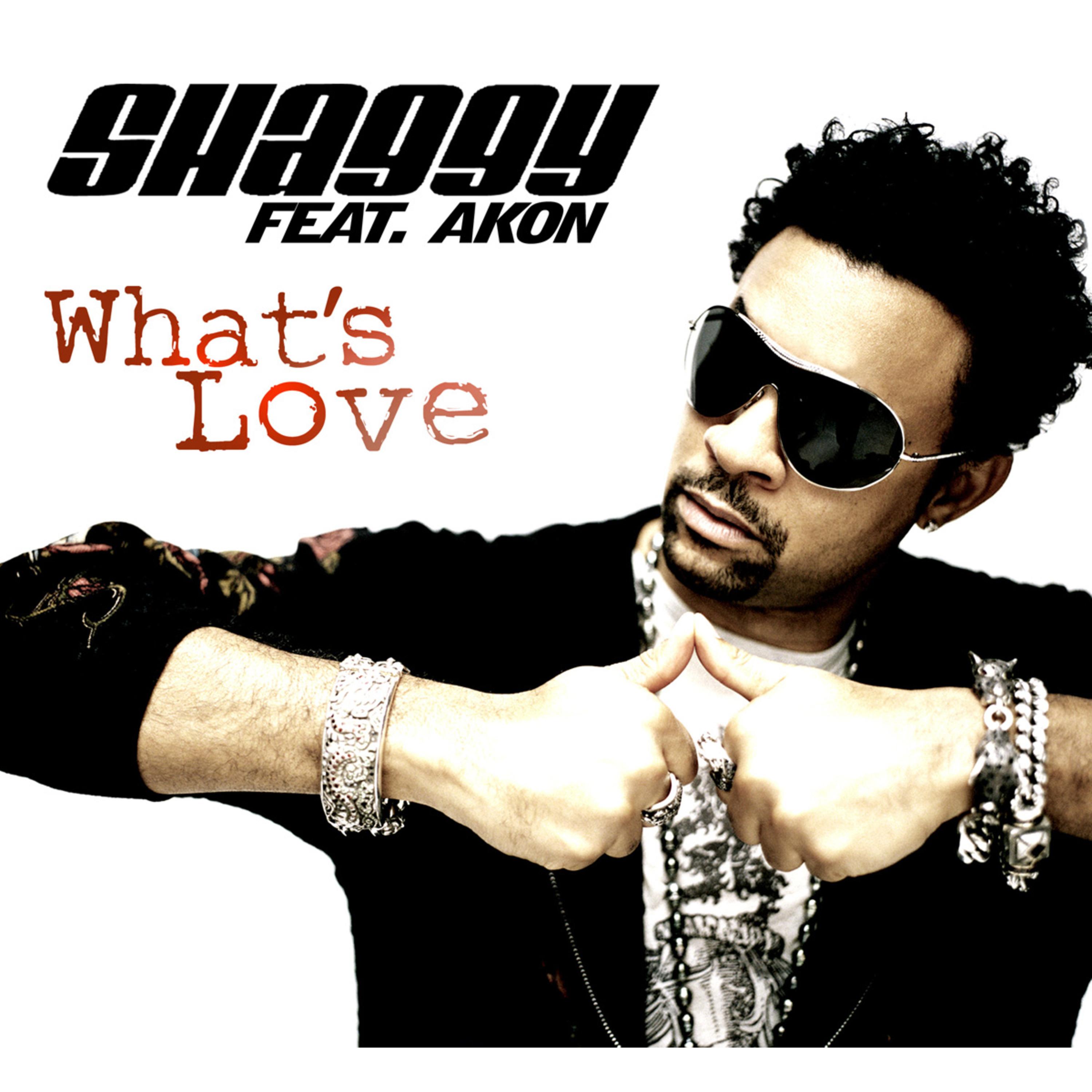 Akon-《What’s Love》