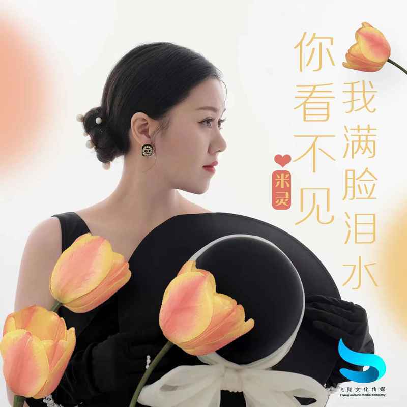你看不见我满脸泪水 (伴奏) - 米灵封面