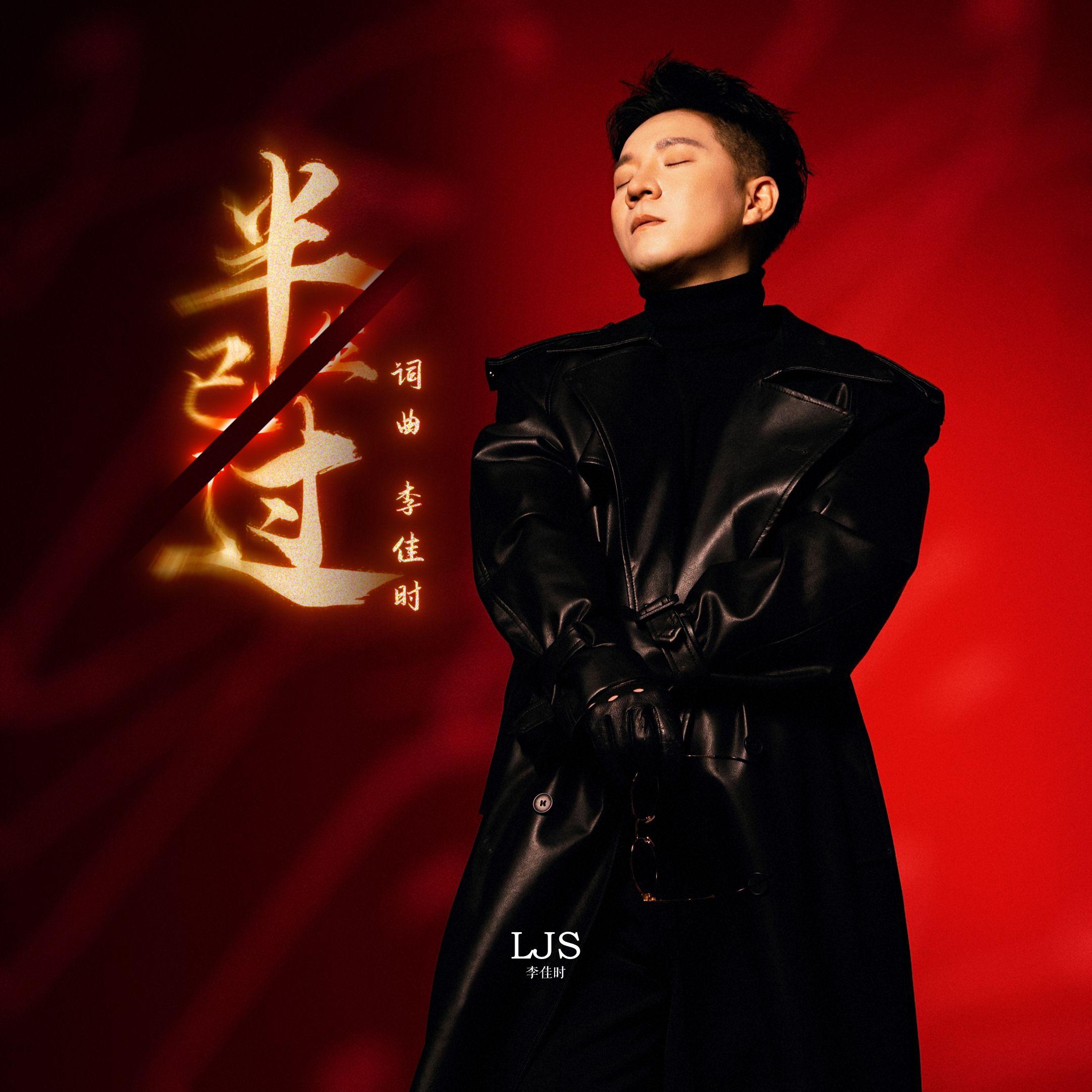 半生已过（DJ沈念版） - 李佳时封面