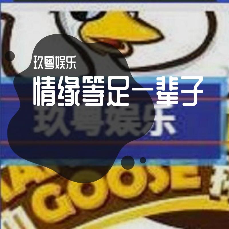 情缘等足一辈子封面