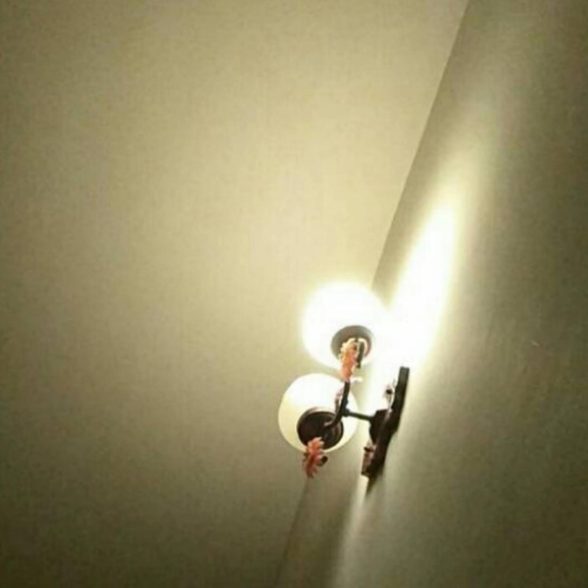 杀死那个石家庄人封面