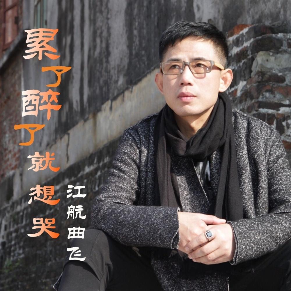 累了醉了就想哭 (伴奏)封面