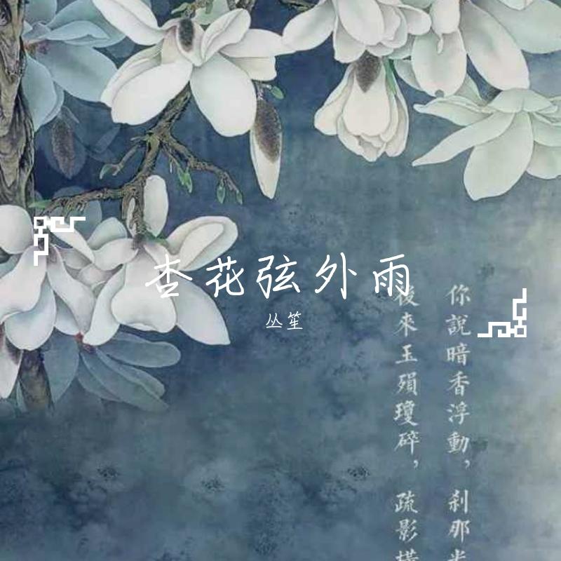 杏花弦外雨封面