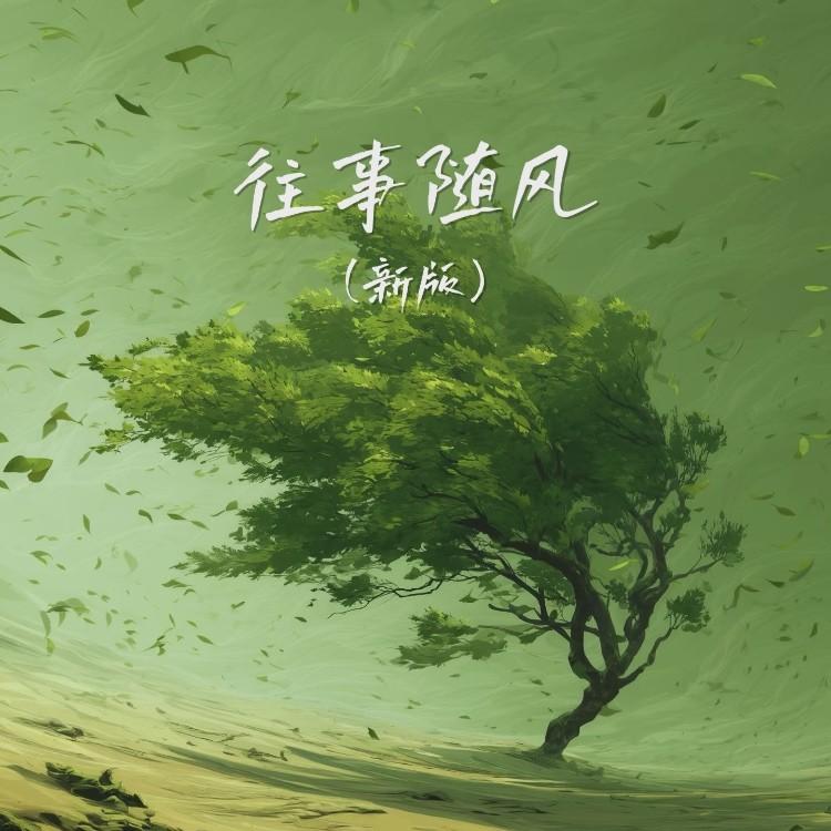 往事随风 (新版)封面