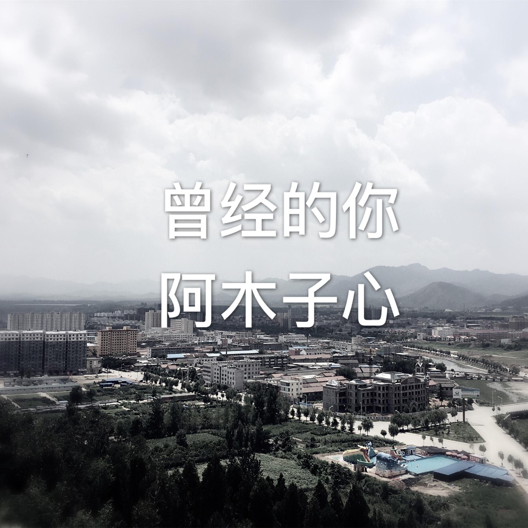 那些年的青春岁月封面