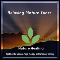 Relaxing Nature Tunes - Spa Music For Massage, Yoga, Therapy, Meditation And Sleeping