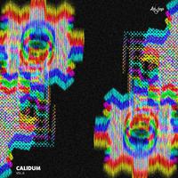 Calidum ,vol.6