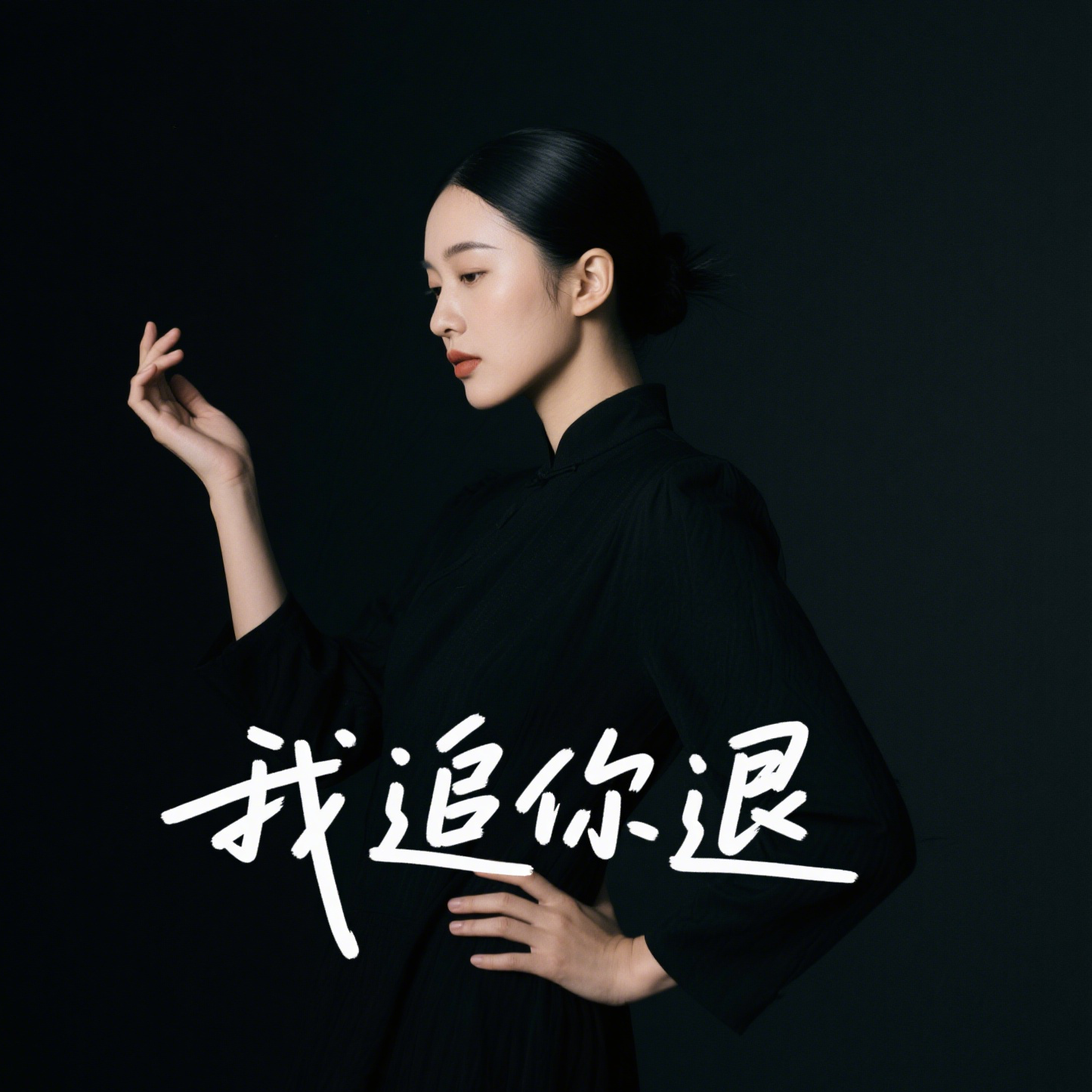 我 追 你 退(D J 彭 锐 版)封面