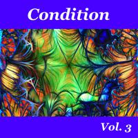 Condition, Vol. 3