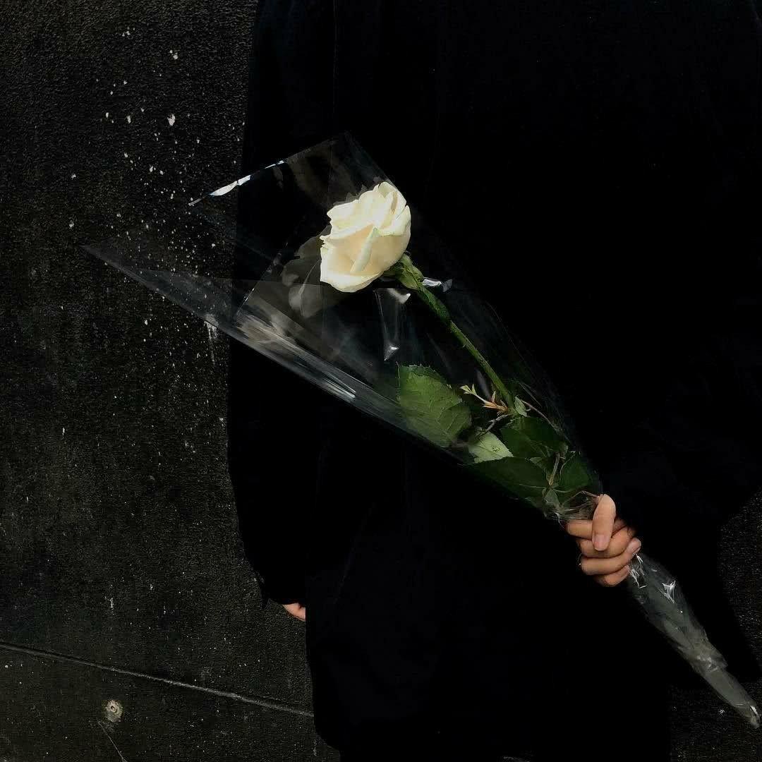 微丧的英文小众歌单.