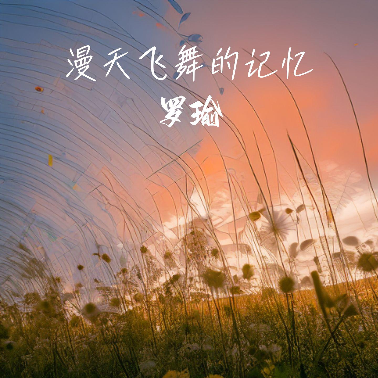 漫天飞舞的记忆 (伴奏) - 罗瑜封面