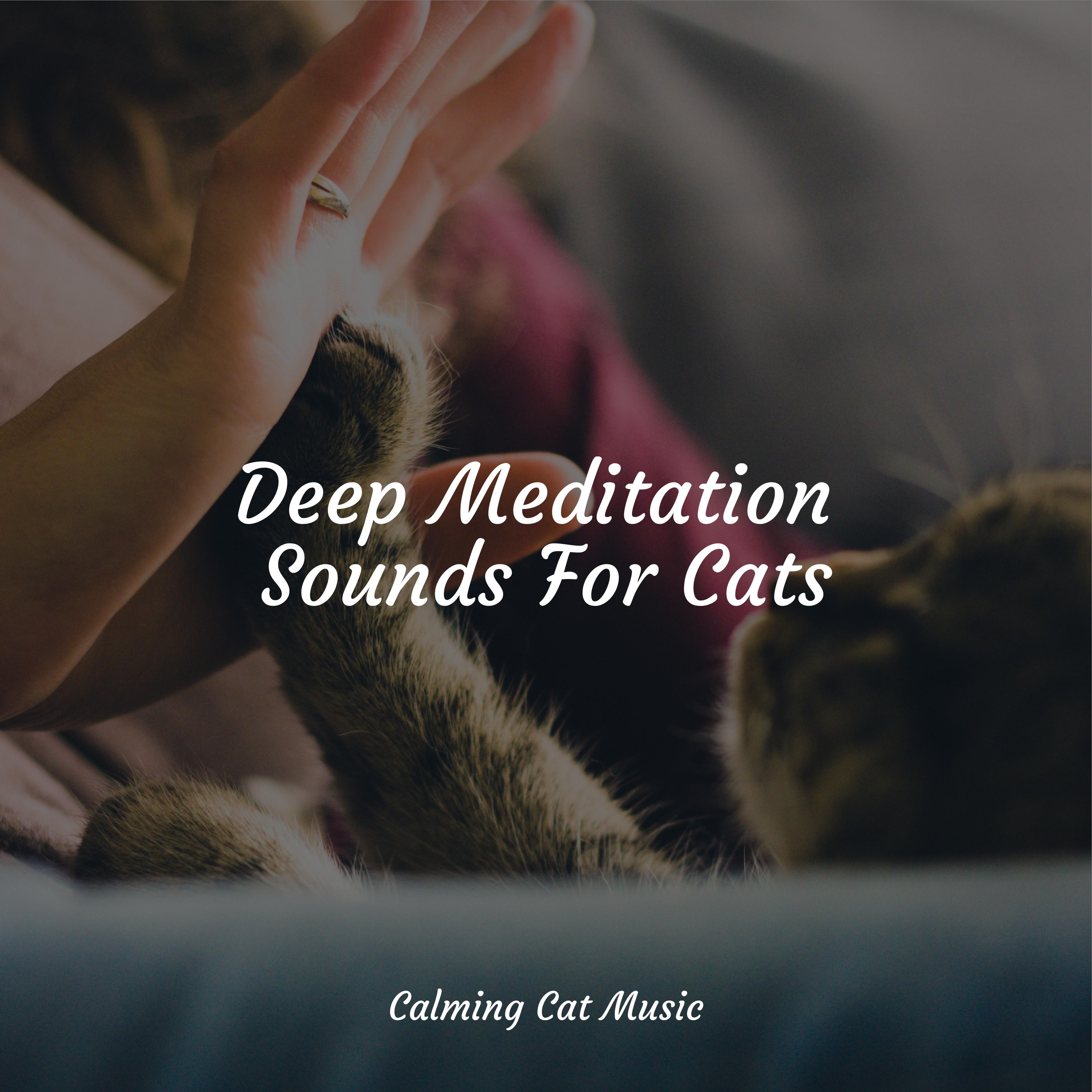 Reiki Healing - Music for Relaxing Cats/Calm Music for Cats/Cat Music ...