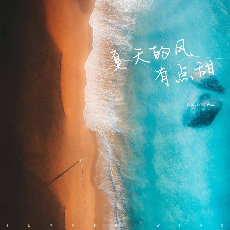 夏天的风有点甜 (伴奏)封面
