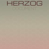 Herzog Document