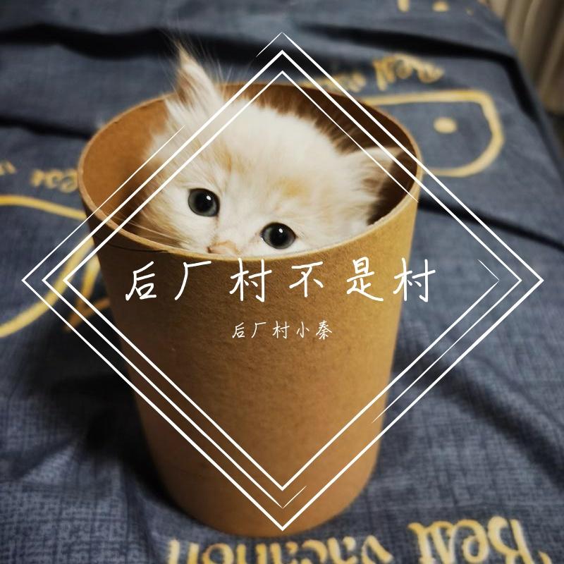 一个人的东秦封面