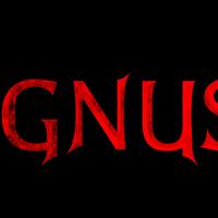 Ignus