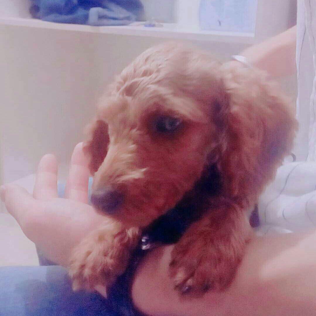 醉怜倾城雲雨时