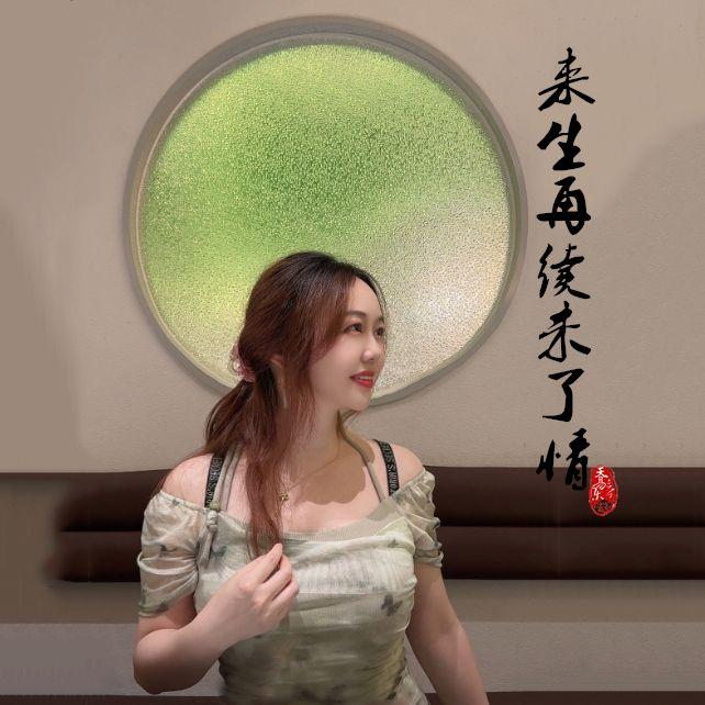 来生再续未了情封面
