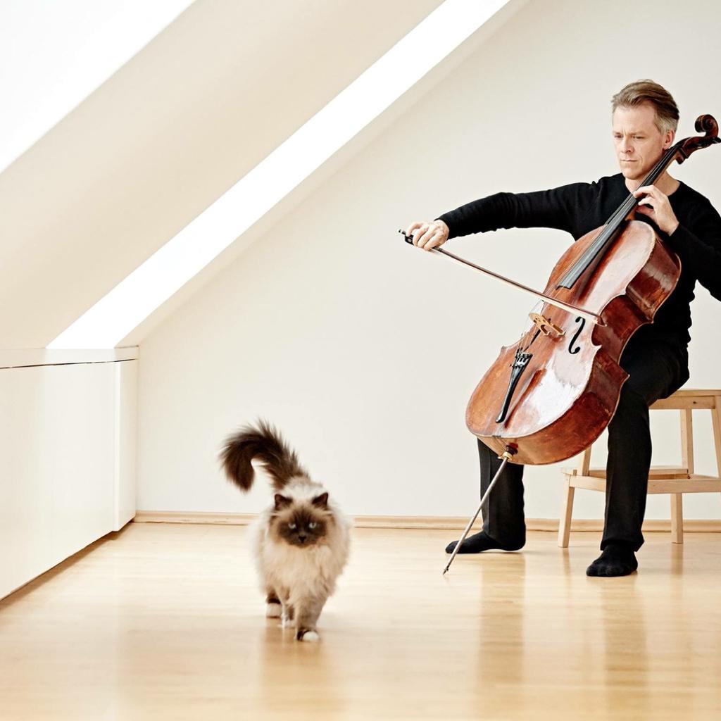 Classical Music Collection 古典音乐精选