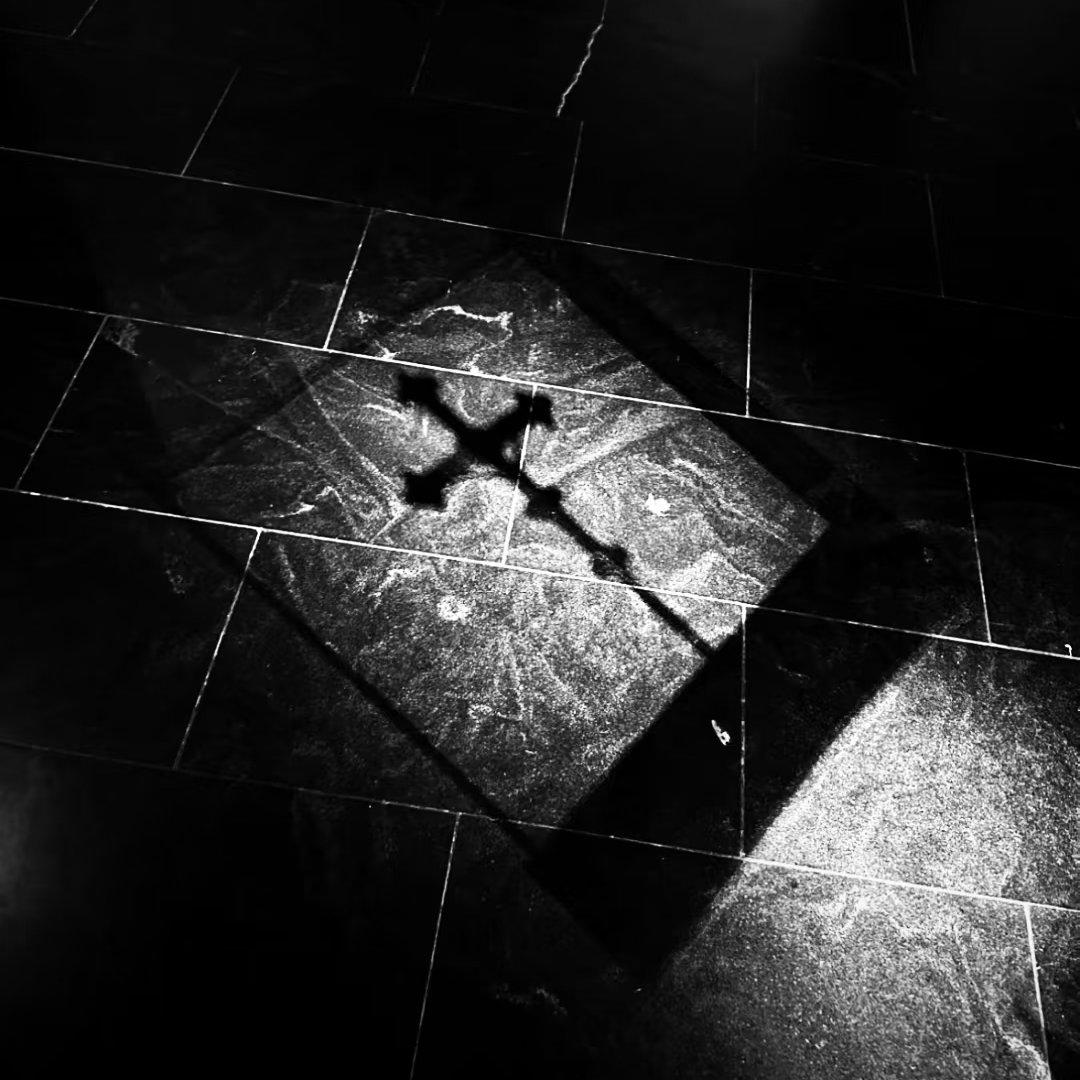 我的懺悔是 我竟毫無悔意