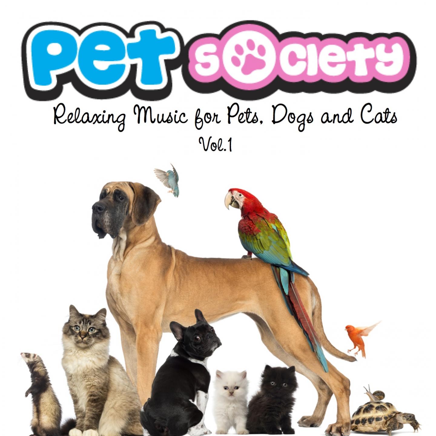 Pop Pop Pets: The Ultimate Guide to Cultivating a Thriving Community of Adorable Pop Pop Pets