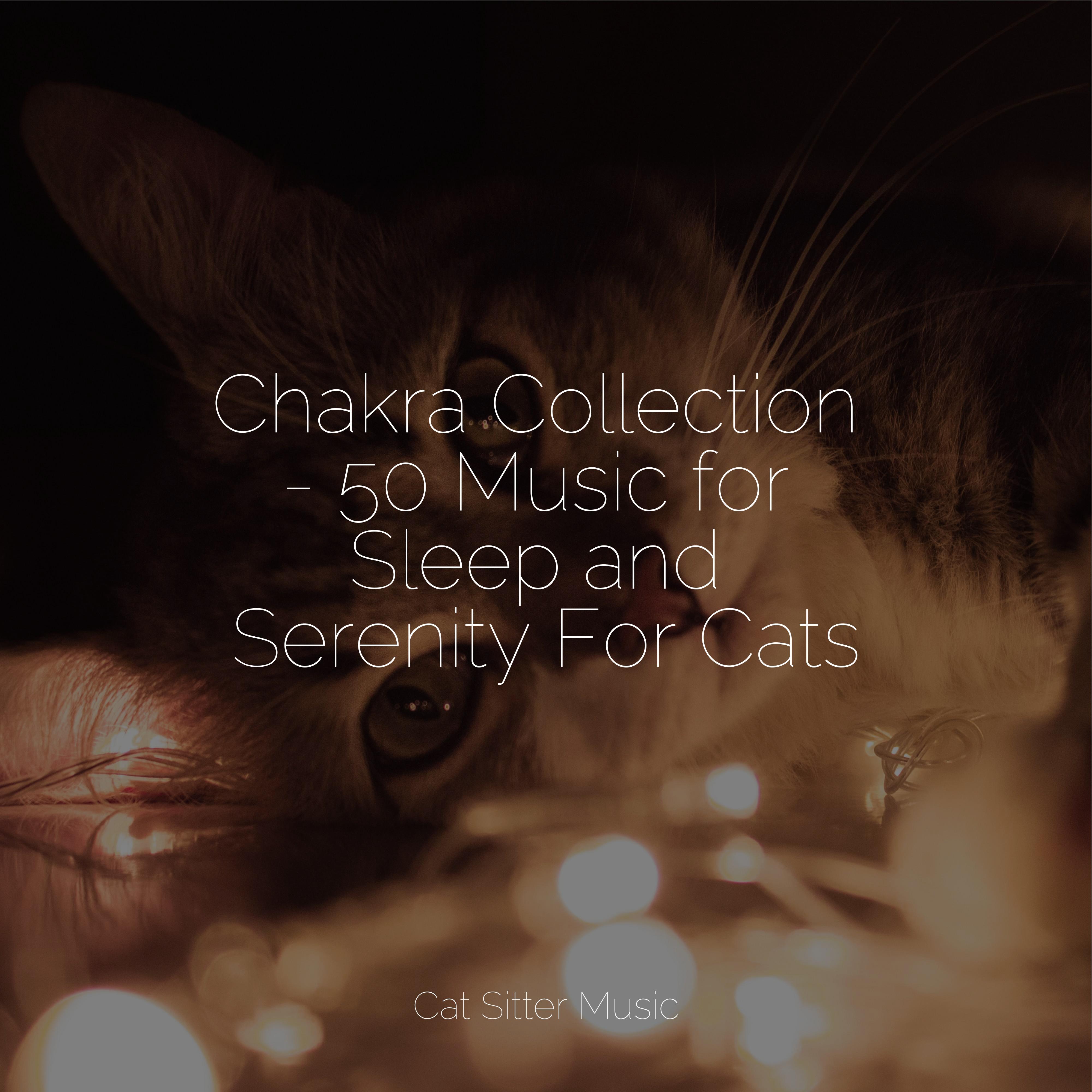 Yoga Relaxation - Music for Relaxing Cats/Calm Music for Cats/Cat Music ...