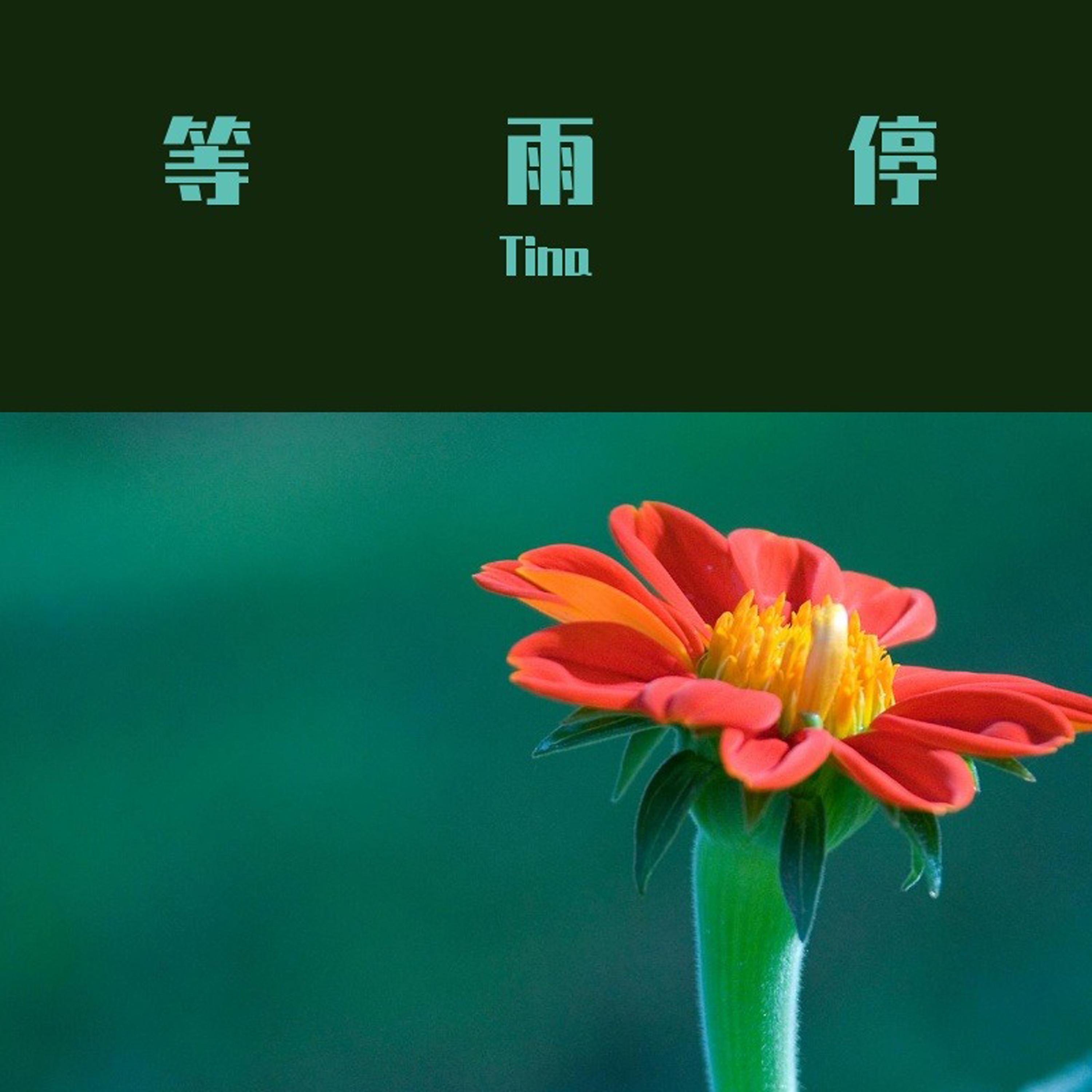 一起吹过晚风的街封面