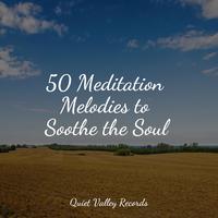 50 Meditation Melodies to Soothe the Soul