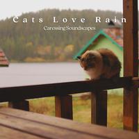 Cats Love Rain: Caressing Soundscapes