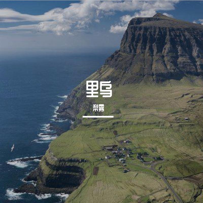 阑珊封面