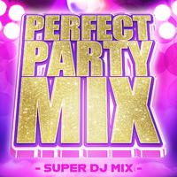 PERFECT PARTY MIX - SUPER DJ MIX -