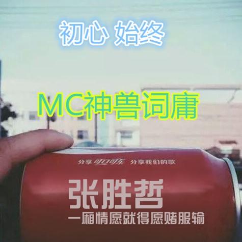 这首歌我送给你封面