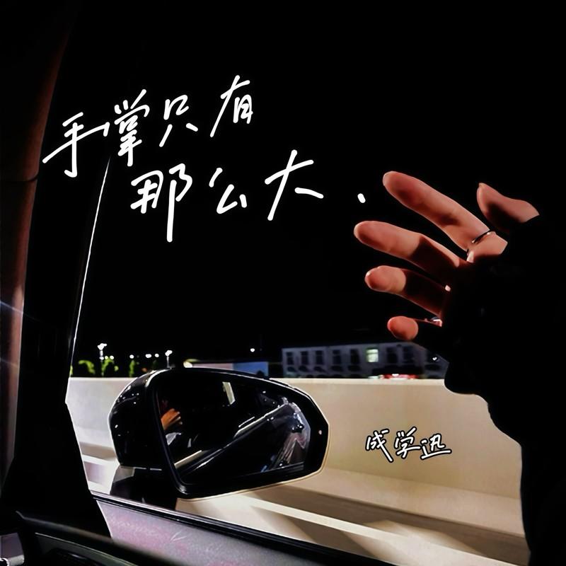 手掌只有那么大封面