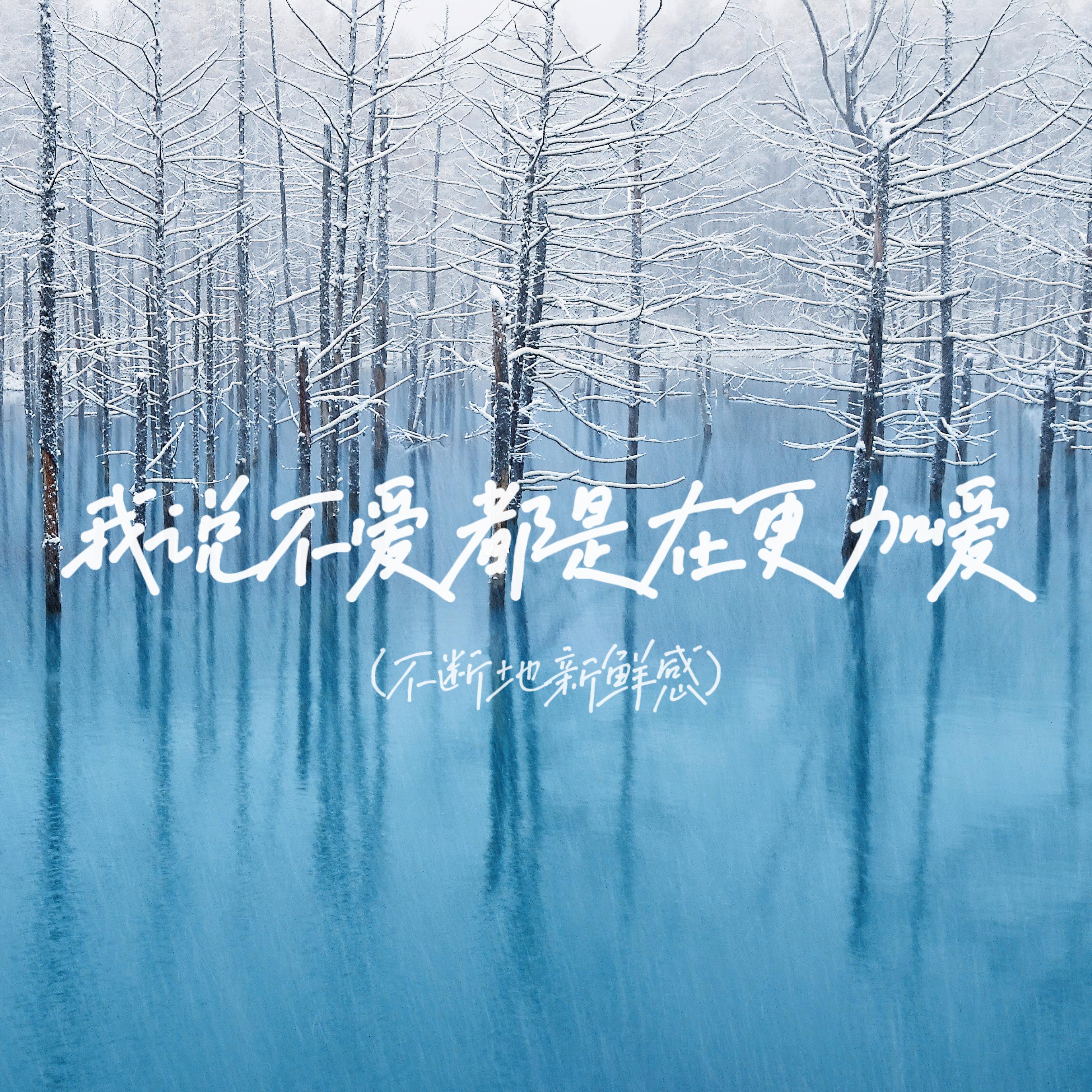 我说不爱都是在更加爱(不断的新鲜感)封面