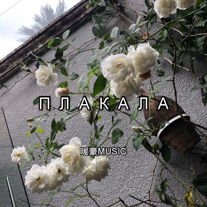 KAZKA-Плакала（暖豪Music Remix）