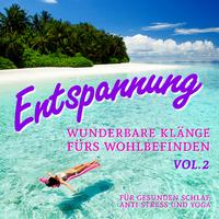 Entspannung - Wunderbare Klänge Fürs Wohlbefinden, Vol. 2