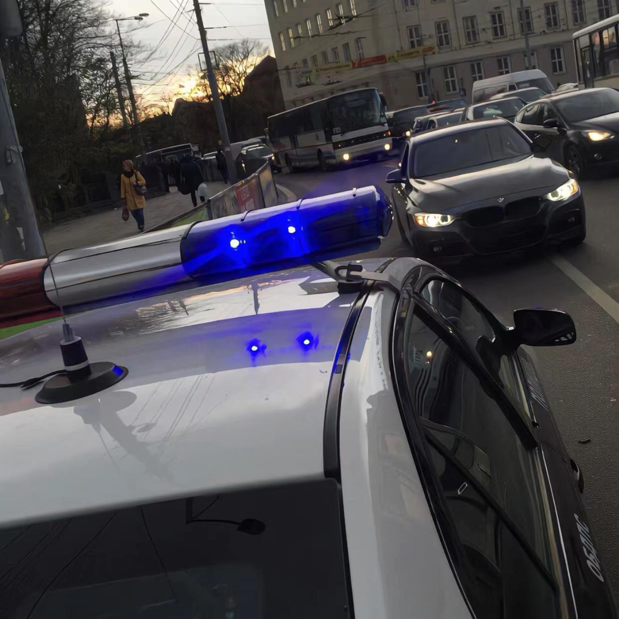 My fox was born on June 1st