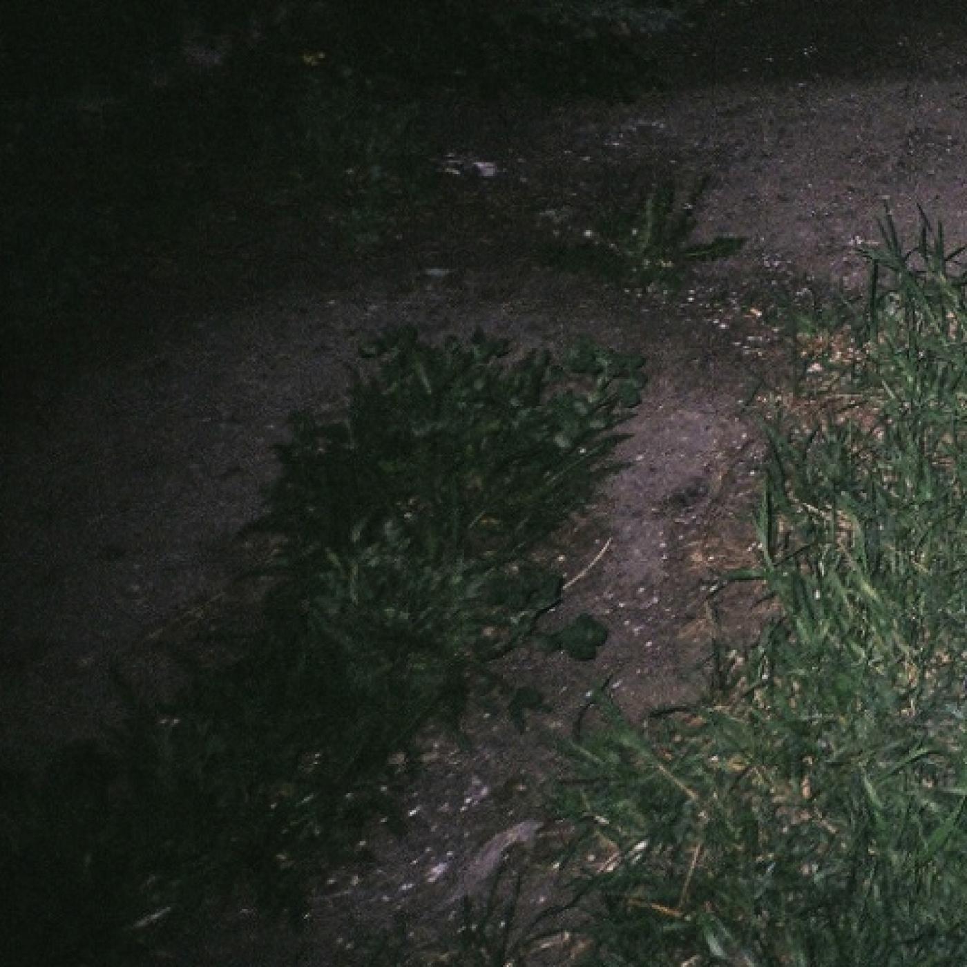 MyDadTookMeHere,SoImTakingYou