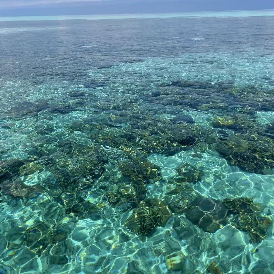 欧美remix 开车极佳首选听就完了