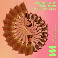 Where Are You Now (Deluxe Mix)