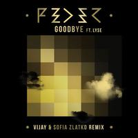 Goodbye (Vijay & Sofia Zlatko Remix)