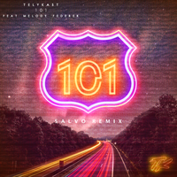 101 (5ALVO Remix)