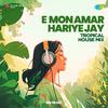 Ri8 Music - E Mon Amar Hariye Jay - Tropical House Mix