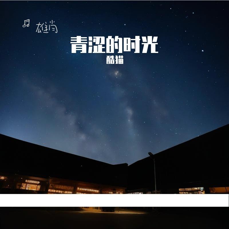 青涩的时光 伴奏封面