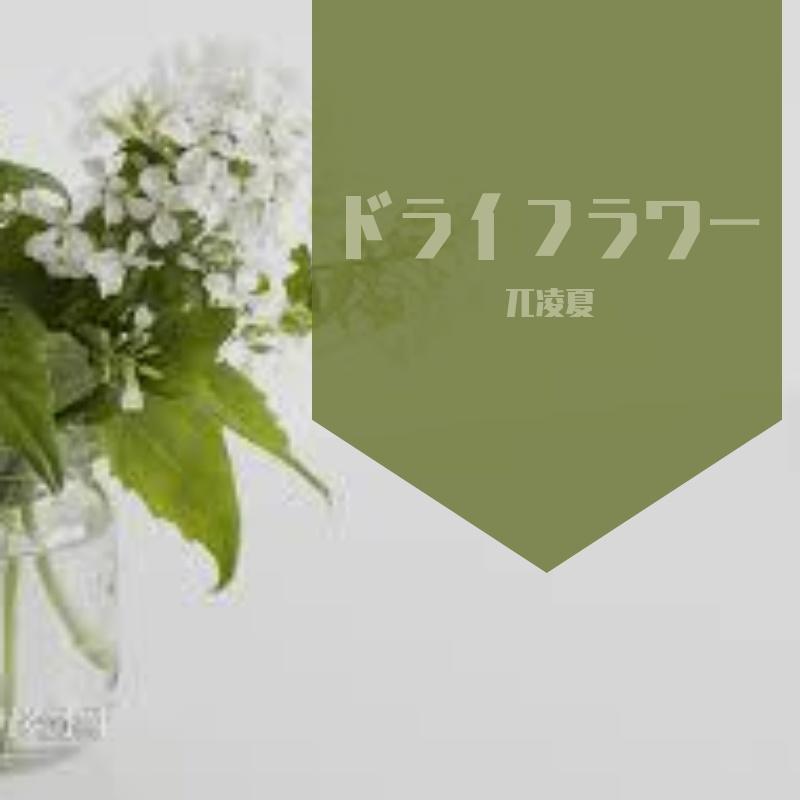 ドライフラワー