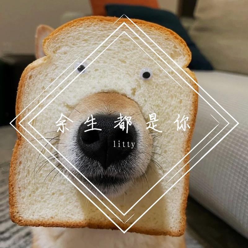 litty-余生都是你（litty remix）封面