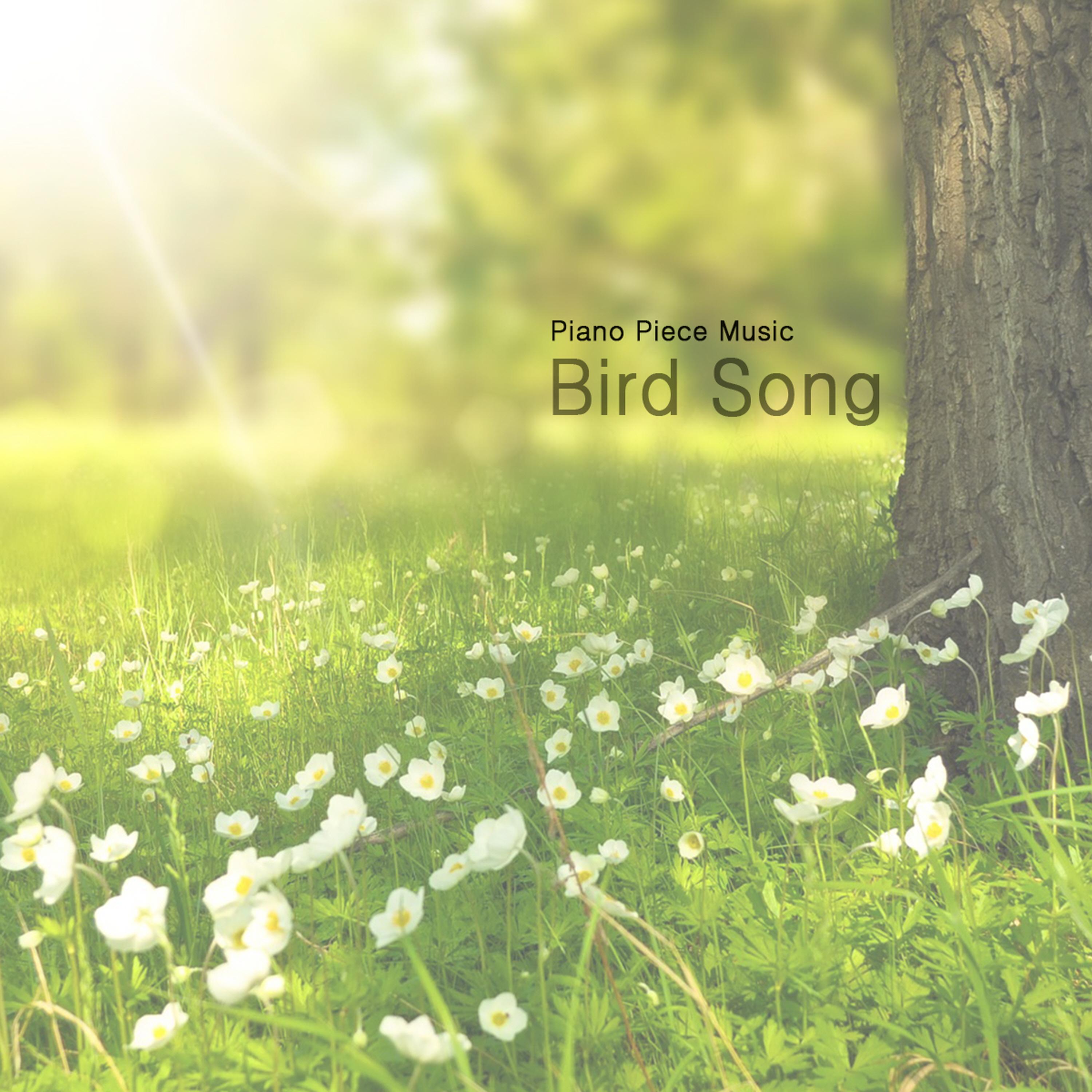 Bird Song
