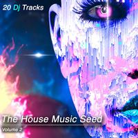 The House Music Seed, Vol. 2 (20 DJ Tracks)