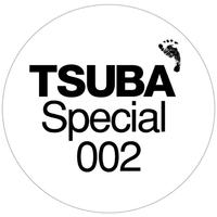 Tsuba Special 002