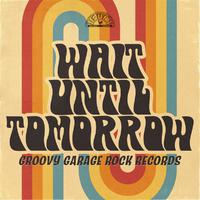 Wait Until Tomorrow: Groovy Garage Rock Records